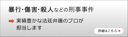 暴行・傷害・殺人などの刑事事件